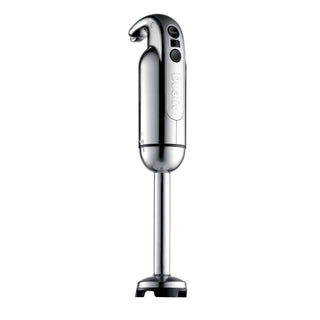 Stabmixer, poliert_1