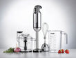 Stabmixer, poliert